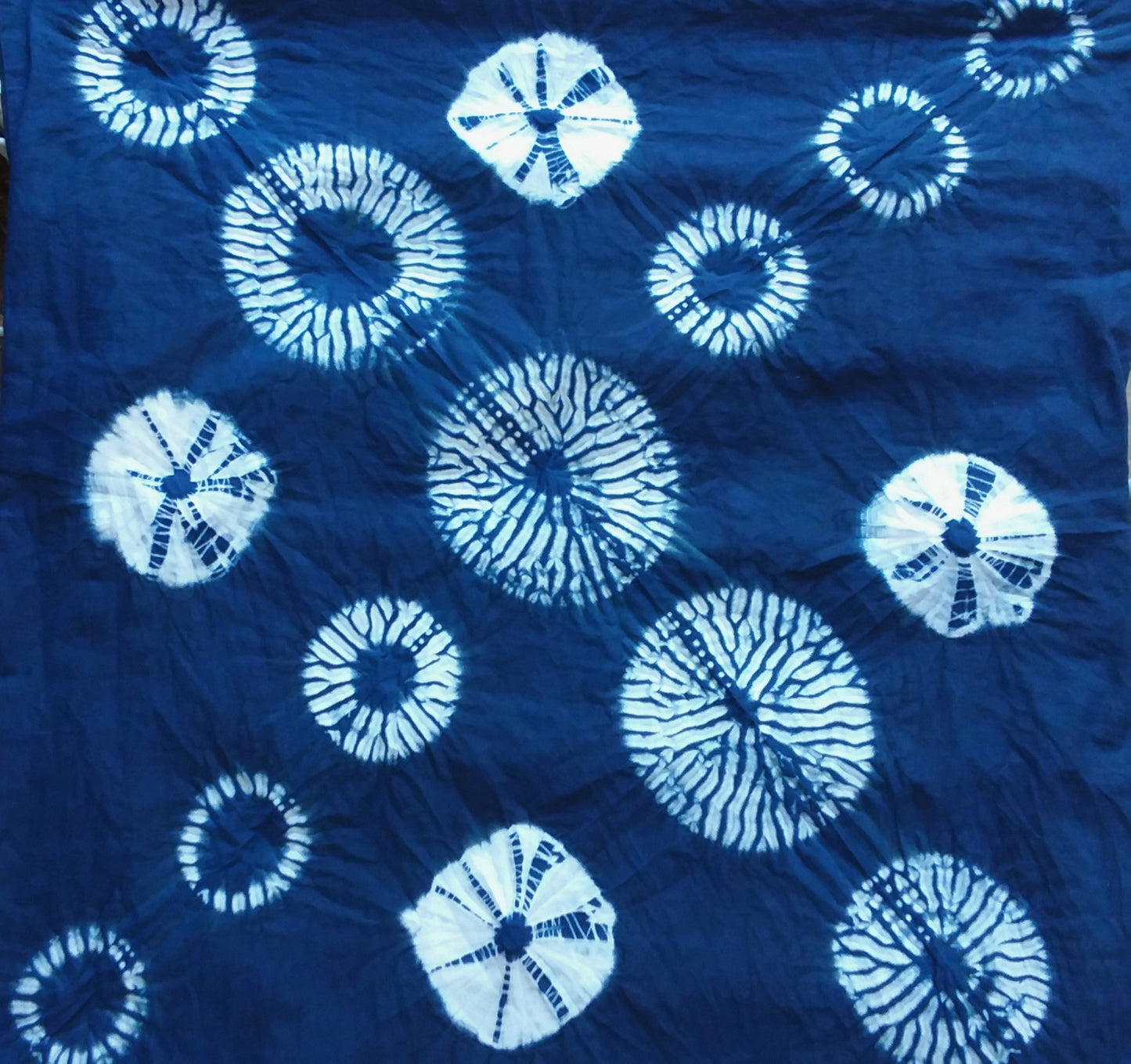 Indigo Dyeing - Session 1 (Aug 16, 2025)